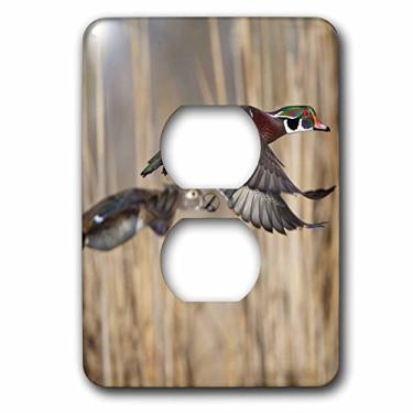 Imagem de 3dRose lsp_95624_6"Us, Washington State, Wood Duck, Masculino, Feminino, Flight-US48 Glu0011-Gary Luhm 2 Plug Outlet Cover, Multicolorido