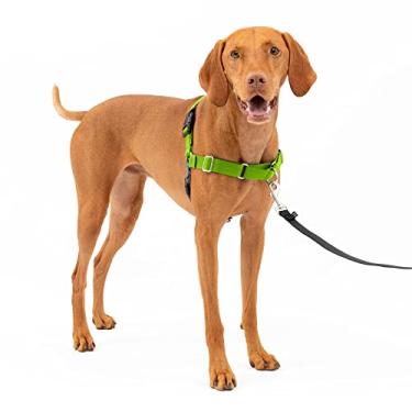Imagem de PetSafe Peitoral para cães Easy Walk - Peitoral para cães sem puxar - Médio, Verde maçã