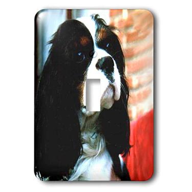 Imagem de 3dRose Cavalier King Charles Spaniels - Interruptor de alternância simples (lsp_981_1), varia
