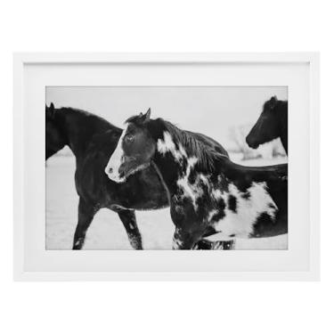 Imagem de Stupell Industries Impressão emoldurada branca de cavalos de inverno preto e branco design sob vidro por Amy Carroll, 17 x 23