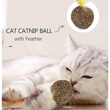 Imagem de Brinquedo para Gato de Catnip e Hortelã Natural com Penacho Recompensa Ativação por Movimento Interativo Limpeza Dentes Raspe Roer Brincar Perseguir Morder Arranhar Exercitar