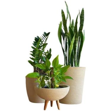 Imagem de 3 Vaso Planta Para Sala Pequena Apartamento Decoração Kit - Alpe & Ari