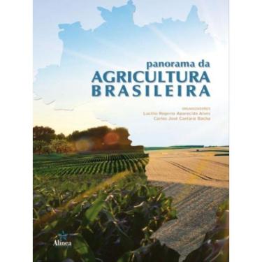 Imagem de Panorama Da Agricultura Brasileira