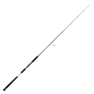 Imagem de Vara Para Pesca Oceânica Altitude 40-60 Lbs 1 Parte Pioneer - Pioneer 
