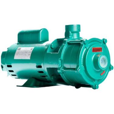 Imagem de Bomba Multiestágio Thebe P11/3 Br 1 Cv Monofásica 111v/220v - EBARA