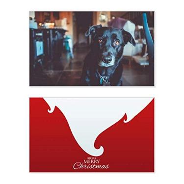 Imagem de Black Dog Pet Animal Picture Holiday Merry Christmas Cartões de parabéns Mensagem de Natal