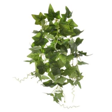 Imagem de Folhagem Hera Pendurar X78 (verde) 56cm