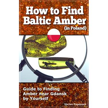 Imagem de How to Find Baltic Amber in Poland near Gdansk: Short (Travel) Guide to Finding Amber by Yourself (English Edition)