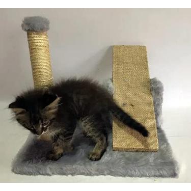 Imagem de Arranhador Para Gatos Mini Poste Com Gangorra (Cinza)
