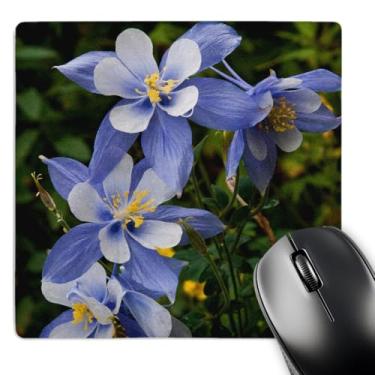 Imagem de 3dRose Colorado Blue Columbine, Aquilegia Caerulea, Near Telluride Mouse pad, 20 x 20 cm (mp_205598_1)