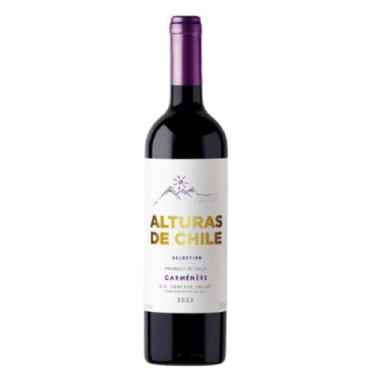 Imagem de Vinho Tinto Chileno Alturas de Chile Carmenére 2024 750ml - Bodegas y 