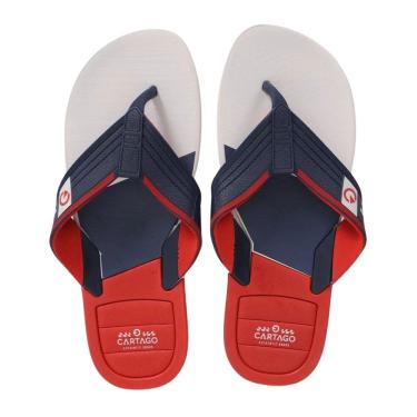 Imagem de Chinelo Cartago Infantil Dallas Cinza Vermelho Azul