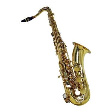 Imagem de Saxofone Tenor Shelter com estojo SFT6435L