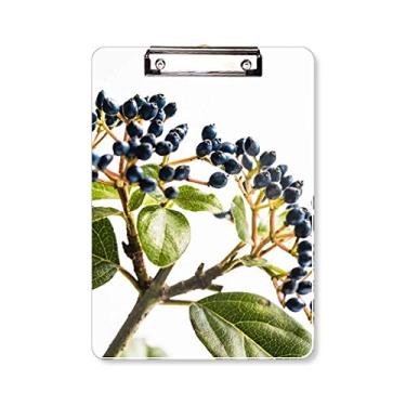 Imagem de Placa de suporte para placa de prancheta branca Simpol Nature com estampa de folhas A4