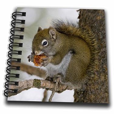 Imagem de 3dRose Esquilo vermelho, um pinho comendo em uma árvore, Harriman SP, Idaho, mini, bloco de notas dos EUA, 10 x 10 cm (db_191930_3)