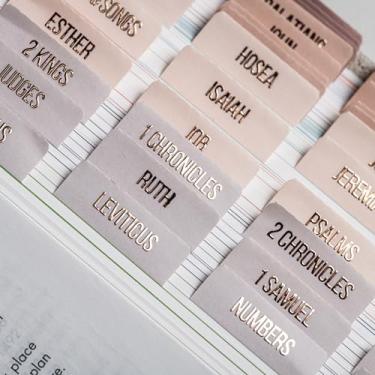 Imagem de DiverseBee Guias Bíblicas laminadas (letras em relevo em ouro rosa), Artigos de Diário Bíblico, Tabelas de livros bíblicos, presente cristão, 66 guias bíblicas Antigo e Novo Testamento, inclui 11 abas em branco (pérola)