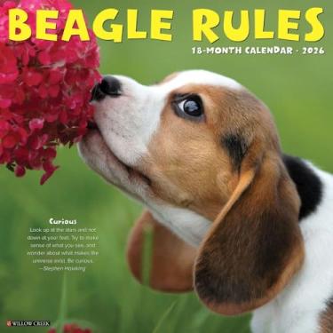 Imagem de Calendário de parede Beagle Rules 2026 30,5 cm x 30,5 cm