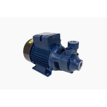 Imagem de Motobomba STD Periférica ELETROPLAS 1CV 60HZ BIVOLT