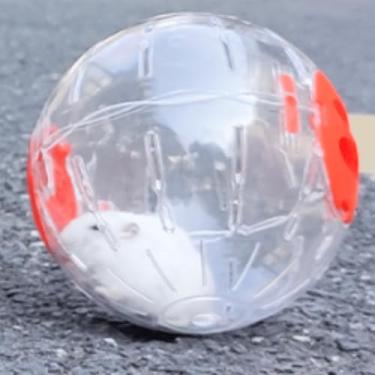 Imagem de Copfeu Bola de cristal de hamster anão fofo para hamsters pequena silenciosa gaiola de roda acessórios adequados para hamsters (laranja, 16 cm)