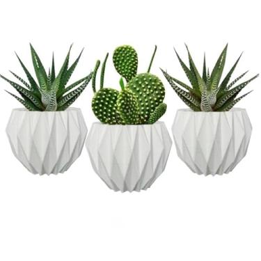 Imagem de Kit com 3 Vasos Decorativos para Suculentas e Cactos. jarros decorativos para sala；vasinhos decorativos；vaso decorativo；vasos decorativos para sala(Kit Branco)