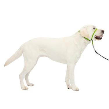 Imagem de PetSafe Coleira de cabeça para cães Gentle Leader - A melhor solução para puxar - Redireciona a puxão do seu cão para caminhadas mais fáceis - Ajuda você a recuperar o controle - Grande, verde maçã