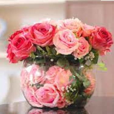 Imagem de Aquário De Vidro Rigado Terrario Para Suculentas