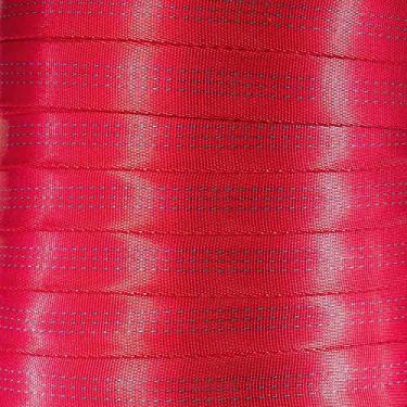 Imagem de West Coast Corda de nylon tubular de 2,5 cm – Premium resistente leve com resistência à quebra de 1,814 kg – tiras para uso externo para escalada e segurança (framboesa, 4,5 metros)