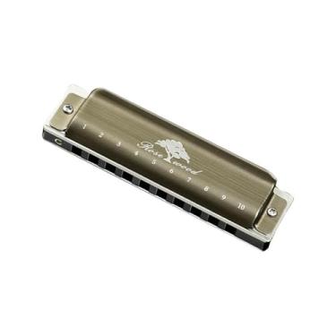 Imagem de Para Iniciantes harmônica Órgão De Boca Harmônica Com 10 Buracos Chave C Com Estojo, Gaita Diatônica Para Jogadores Profissionais, Presentes Para Iniciantes(PADDY)