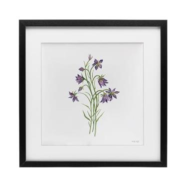 Imagem de Stupell Industries Soft Bluebells Impressão emoldurada preta botânica sob vidro, design de Cindy Jacobs, 13 x 13