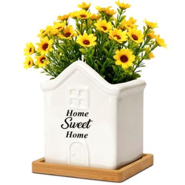 Imagem de T4U Cacto suculento, vasos de plantas, presentes de aquecimento de casa, casa nova