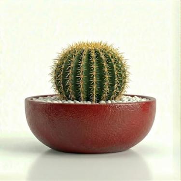 Imagem de Genérico, Jardineira Oval de Resina, Uso Interno/Externo, Tamanho G, Cinza Pedra, Acabamento Concreto, Vaso para Plantas, 15 x 12 x 11 cm