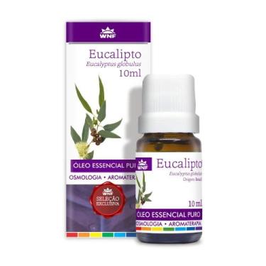 Imagem de Óleo Essencial de Eucalipto Eucaliptus globulus WNF