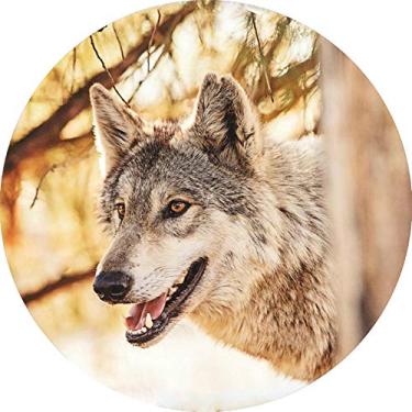 Imagem de Capa para estepe Ecosport Crossfox Lobo Selvagem CN774 - Lorben