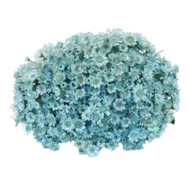 Imagem de Sempre Viva Azul p/ Decoração - Tem Flores