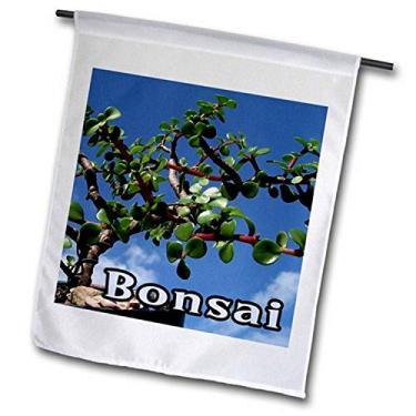 Imagem de 3dRose fl_182078_2"Bonsai W fotografia de texto Portulacaria Afra Tree 1" bandeira de jardim, 45 x 67