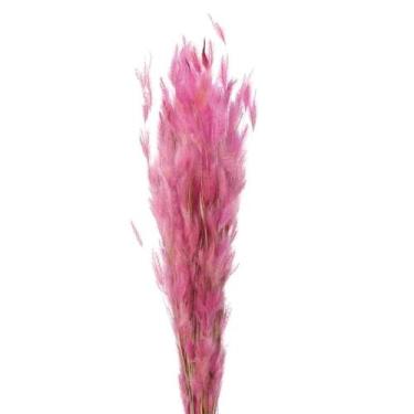Imagem de Pluminha Rosa Flor Desidratada Buque Flores Secas - Pense Flores