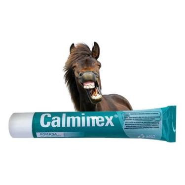 Imagem de Pomada Calminex 100g Dores E Pancadas - Msd