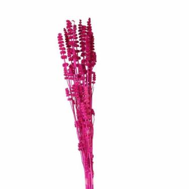 Imagem de Rubi Pink Desidratado - Pense Flores