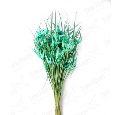 Imagem de Capim Estrela Flor Desidratada Buque Flores Secas - Pense Flores, Azul