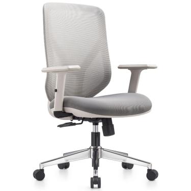 Imagem de Cadeira Ergonômica De Escritório Gamma Movescan Cinza