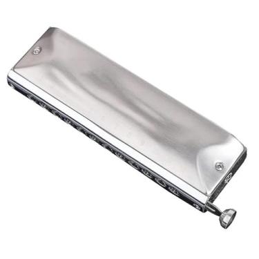 Imagem de Gaita cromática profissional com 12 furos e 48 notas, desempenho profissional