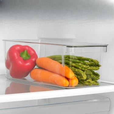 Imagem de Kit Organizador Armário Dispensa Geladeira 26,8 x 11 x 10 (1)