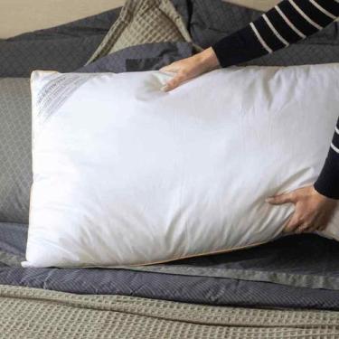 Imagem de Travesseiro Toque de Pluma 50x90 cm Branco Buddemeyer