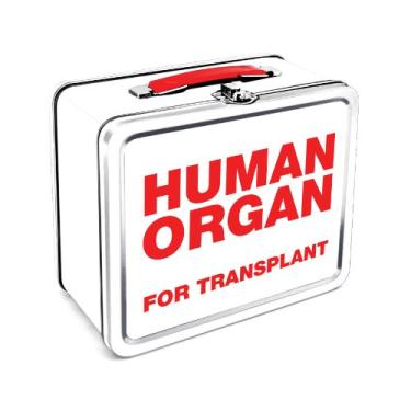 Imagem de Aquarius Human Organ Large Tin Fun Box