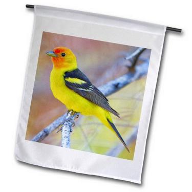 Imagem de 3dRose Bandeira de jardim Gary Luhm EUA, Washington, Plumage ocidental Tanager Bird US48 GLU0317, 30,5 x 45,7 cm