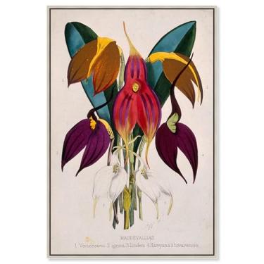 Imagem de Art Remedy Tela de impressões botânicas, 25,4 cm x 38,1 cm, moldura prata, cinco orquídeas tropicais 1873