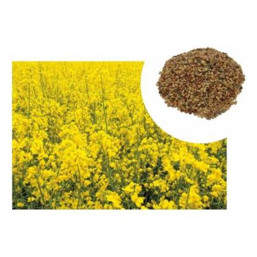 Imagem de Sementes de Crotalária Ochoroleuca Combate a Dengue - 900gr - SEEDS