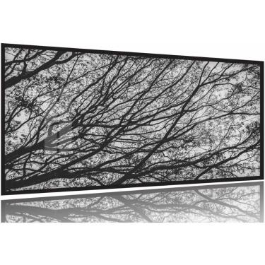 Imagem de Quadro Galhos Secos Caindo em Preto e Branco 130x60 Moldura Preta 2x2