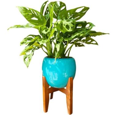 Imagem de Vaso Cachepot de Mesa 15cm Porcelana com Tripé de Madeira - Verde Gard