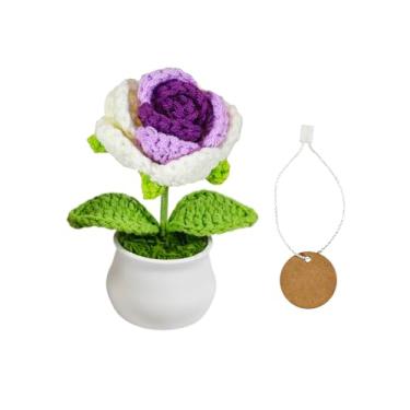 Imagem de Mini vasos de plantas e flores de crochê feitos à mão para apoio emocional | apreciação de professores e funcionários | formatura de aniversário | Decoração de mesa de escritório em casa